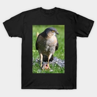 Sparrowhawk T-Shirt